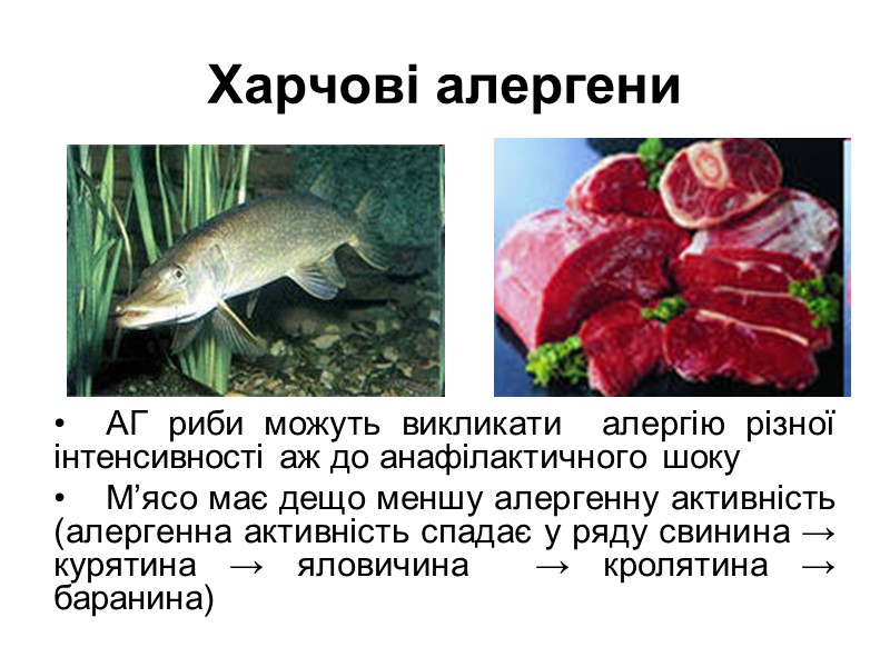 Харчові алергени       АГ риби можуть викликати  алергію